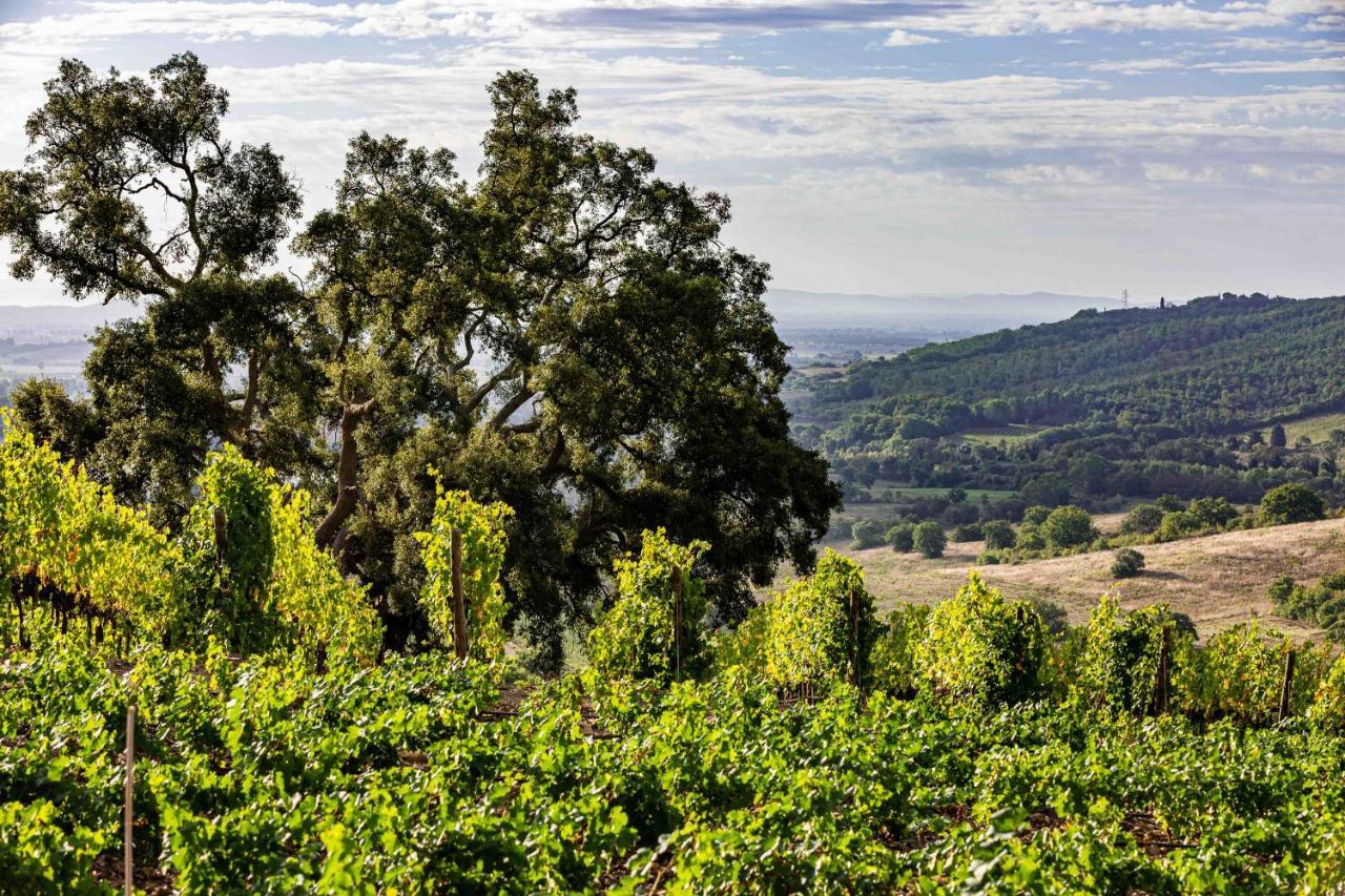 La Foresteria Di Rocca Di Frassinello Gavorrano Dış mekan fotoğraf